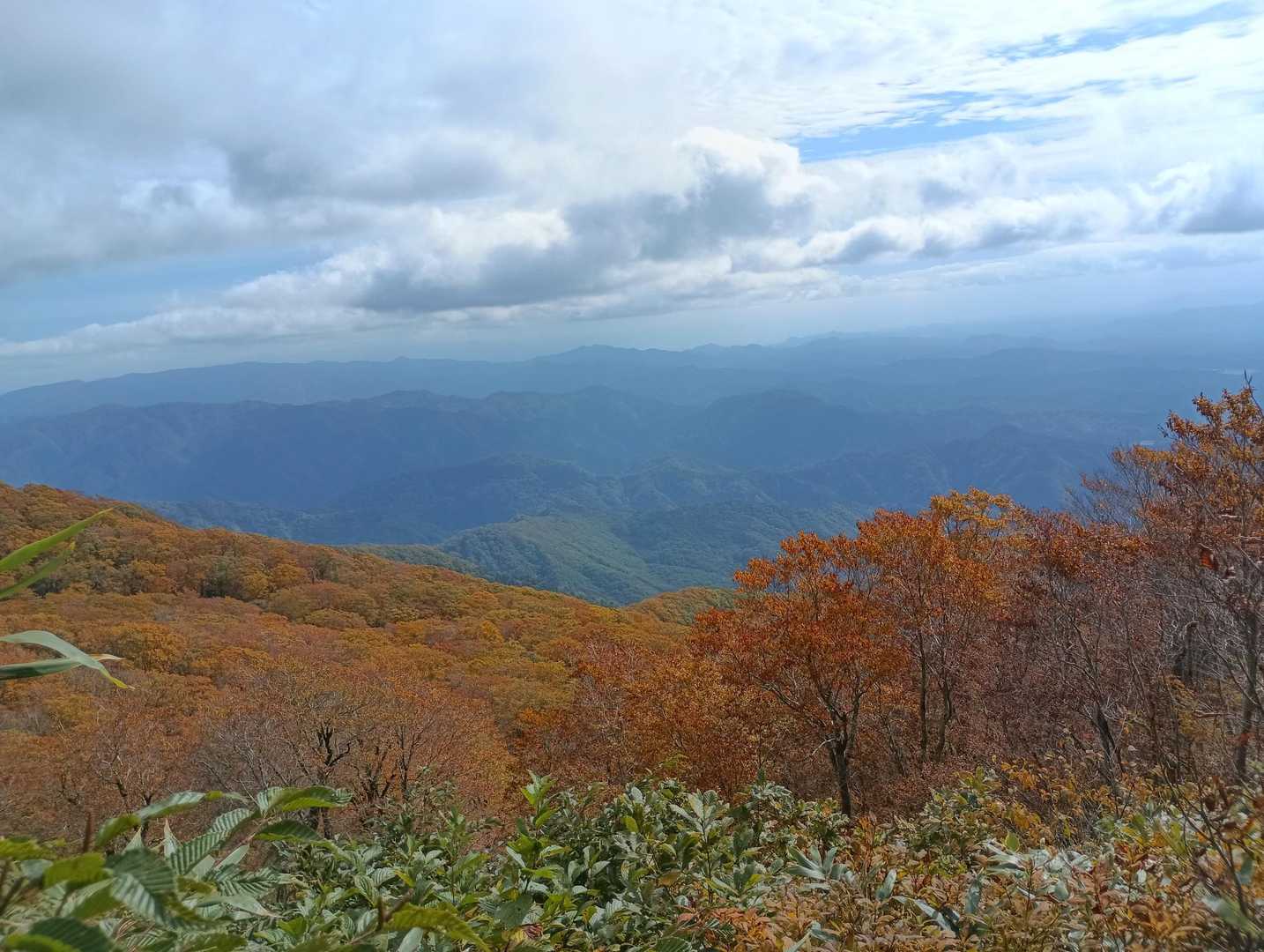 見晴らしが🍁