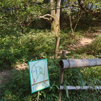 山頂へ