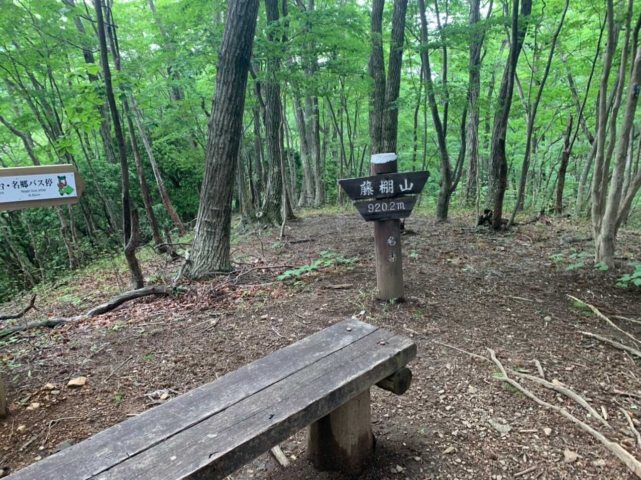 藤棚山の写真