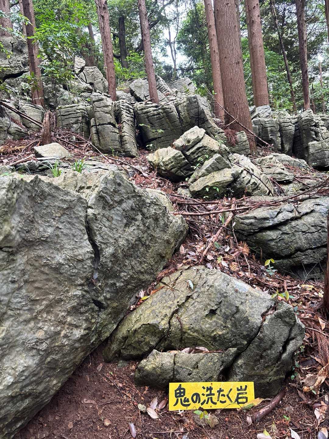 鬼の洗濯か👹🧺鬼も洗濯するか