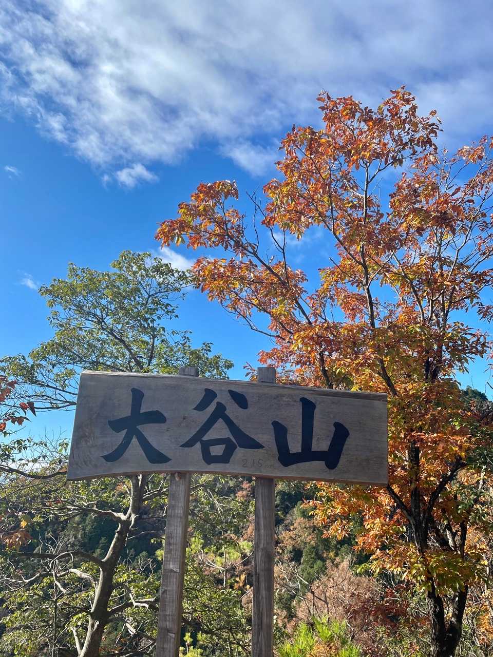 オオタニさーん⚾️ではありませんよ
オオタニヤマです🤗