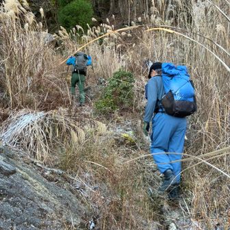 最初はヤブコギ
この時期だからなんてことないけど
夏場はそれなりの覚悟がいるかも