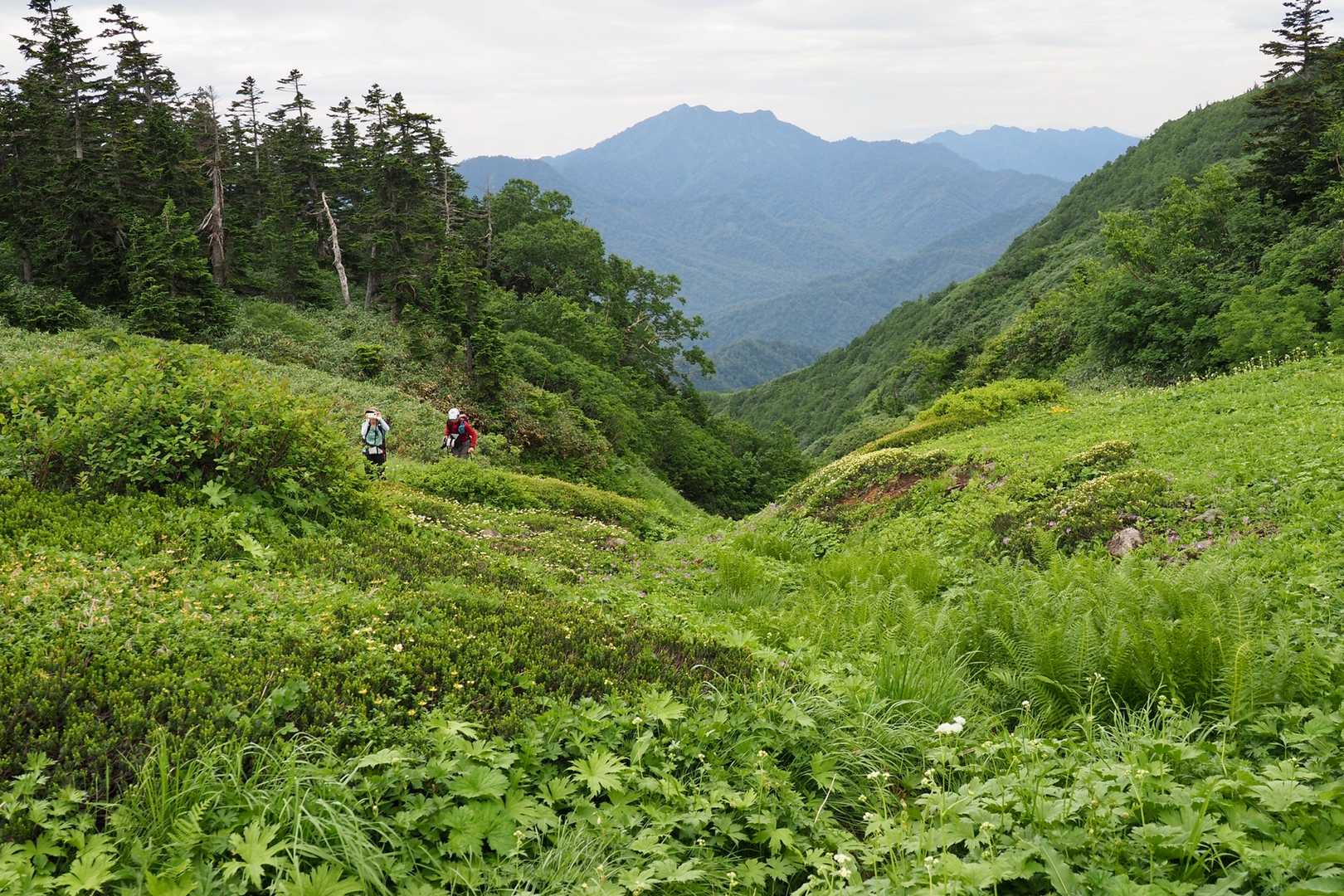 後方は高妻山