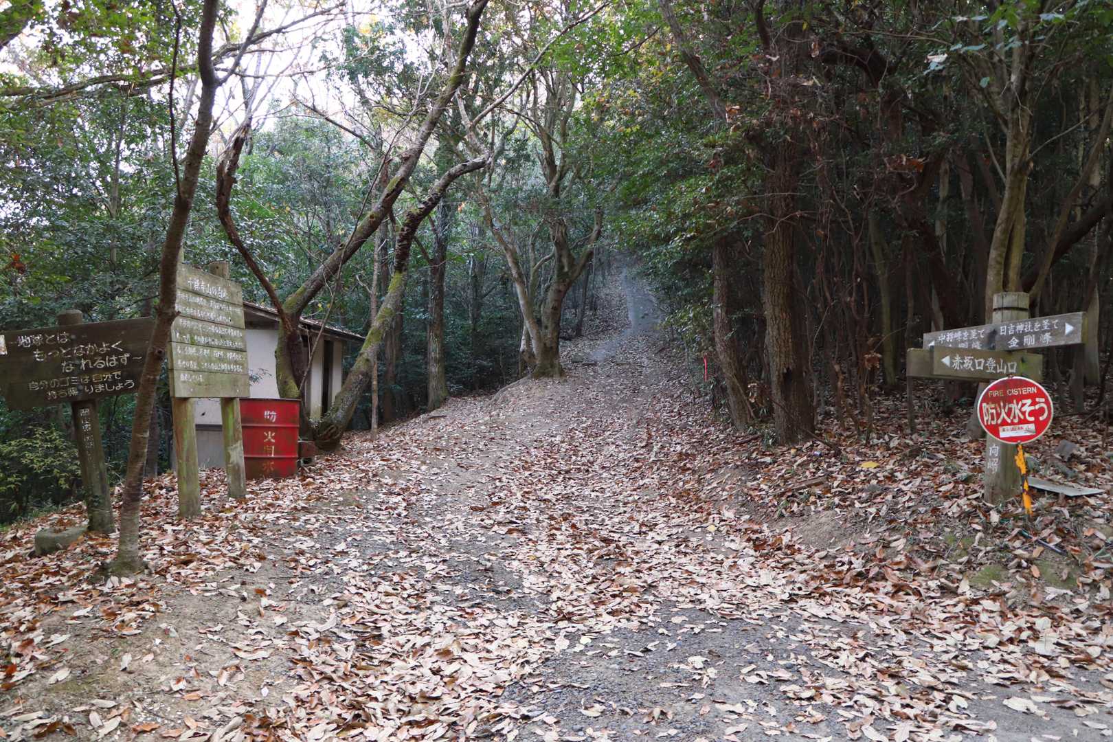五差路のような所に出た
坂を上って東屋の方面へ向かう