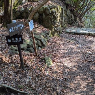 分岐に到着。長尾滝を目指します