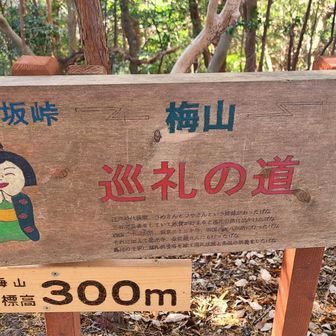 ほど近くに梅山(踏破済)
艶さん梅さんでセットらしい。