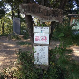 でも八耳堂から２０分ぐらいで山頂です。