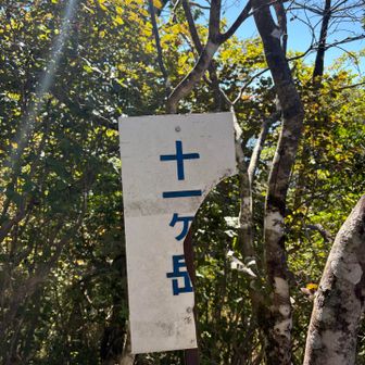 あーやっぱ欠けてる😭