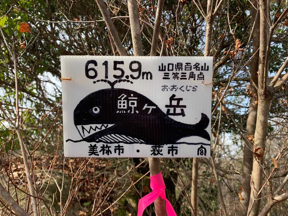 クジラをイメージして作りました😆