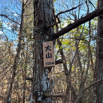 大山
到着　見晴らしなし😹