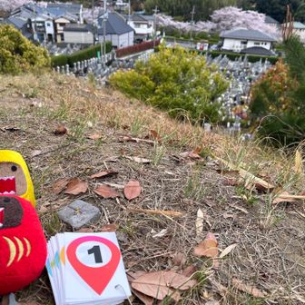 こっちが山頂やったー💦