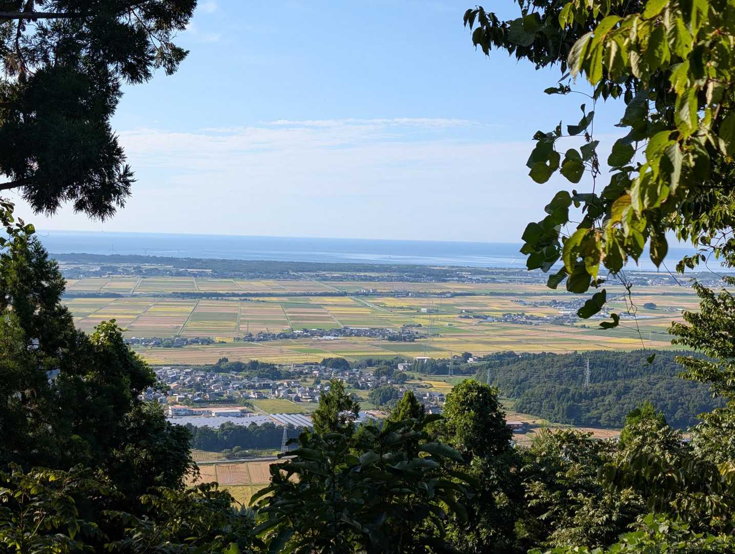 桜公園登山口-願文山-大峰山登山口 周回コースの写真