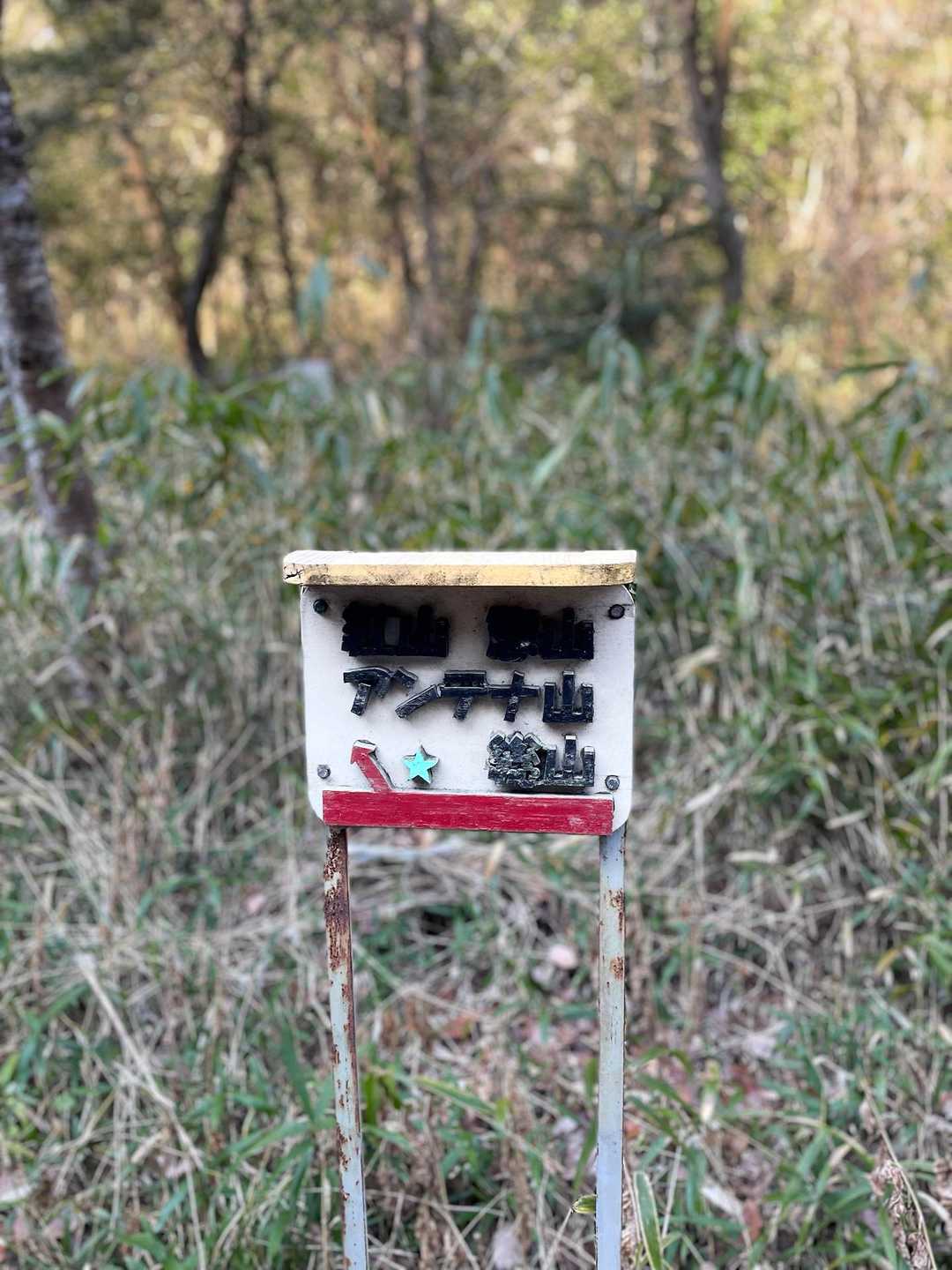 これもね