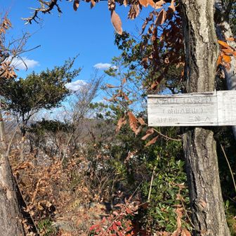 大庭山　八畳岩　着きました！ここも焼山八景山の一つ