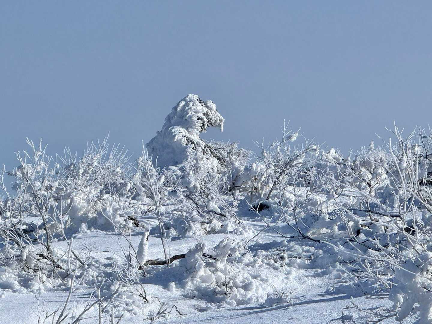 横向登山口 往復コースの写真
