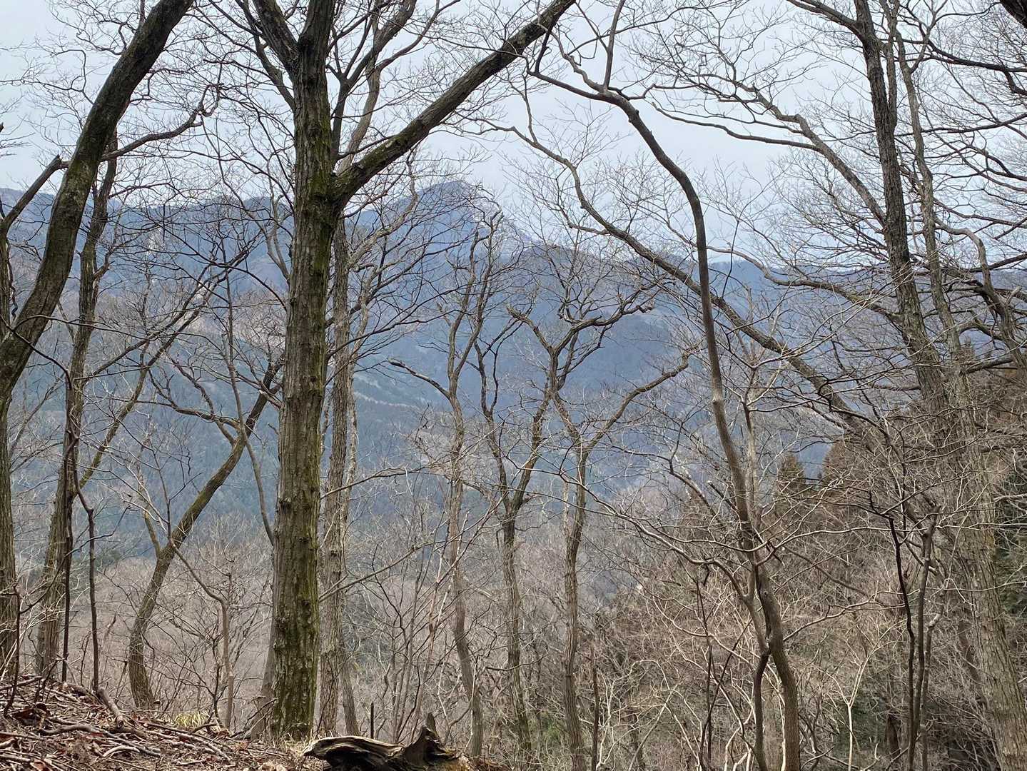 武甲山が見えた