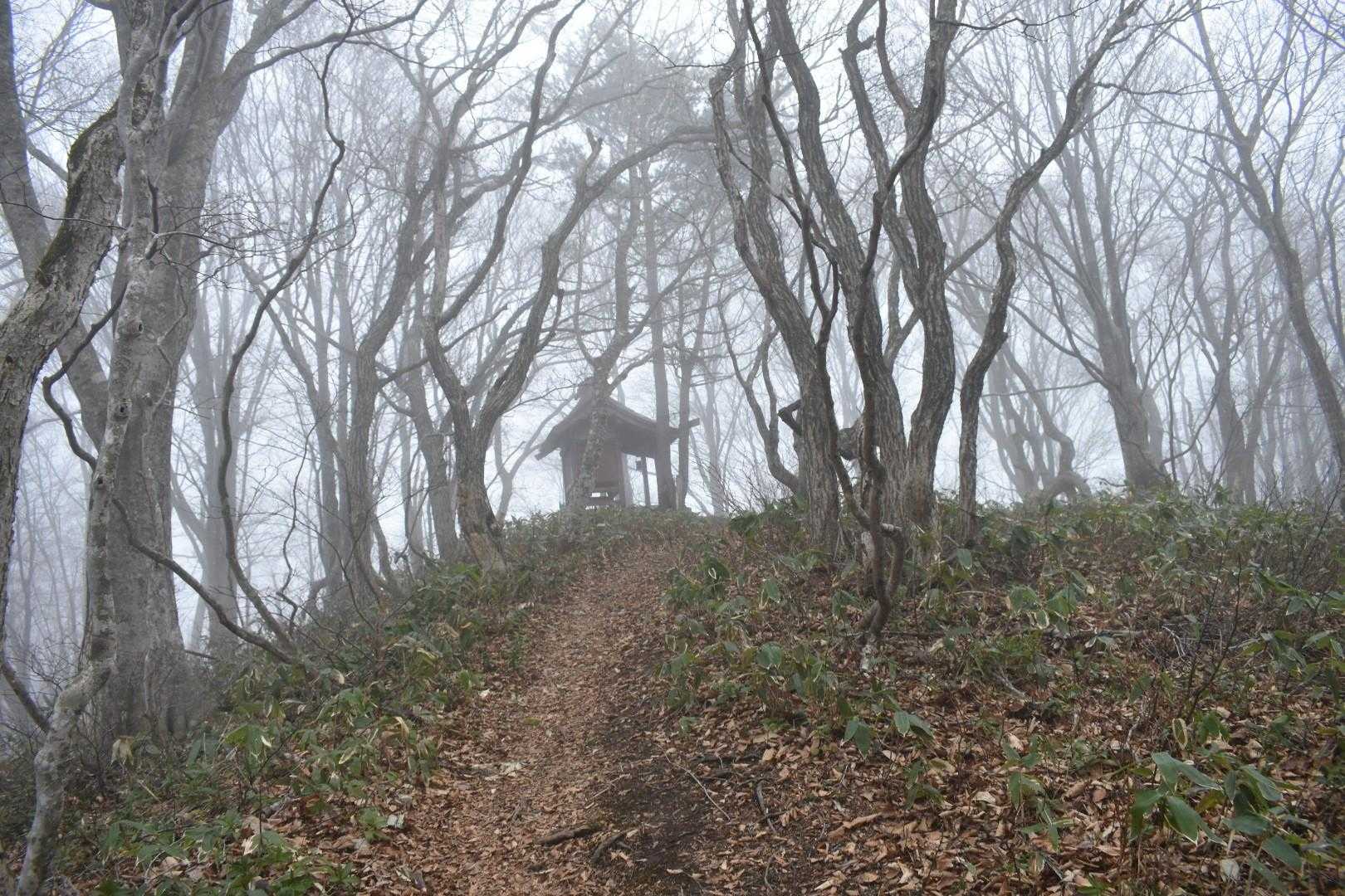 高森山登山口-高森山 往復コースの写真