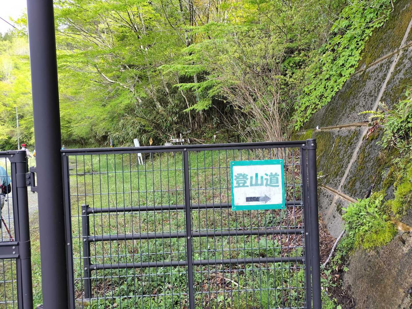 稲叢山 往復コースの写真