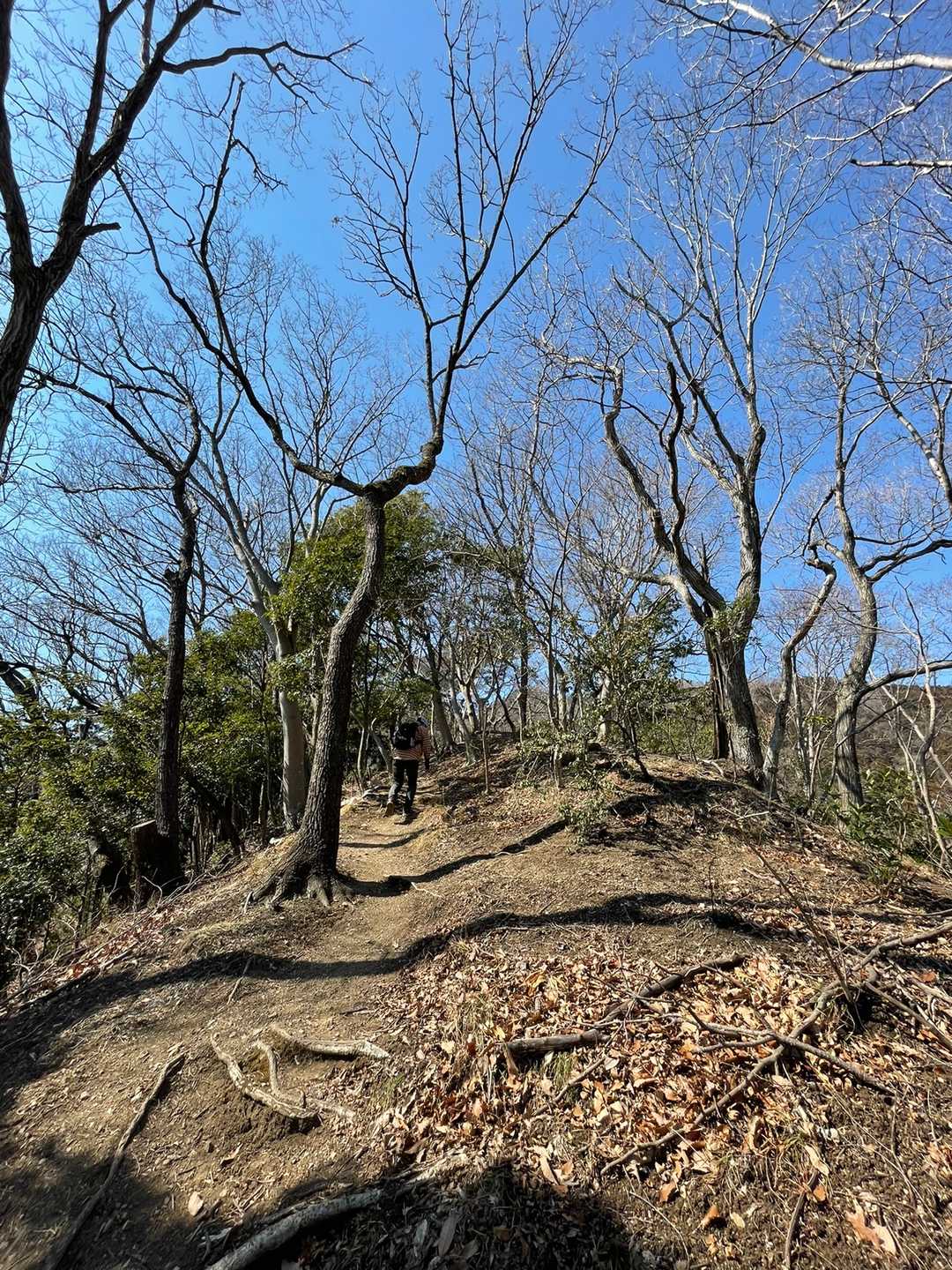 軽いアップダウンが続きます。この後のきっつい登りは誰も撮影してませんでした😅(私ははそんな余裕なし💦)