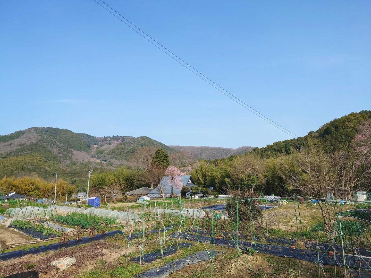 2日連続の良い天気☀