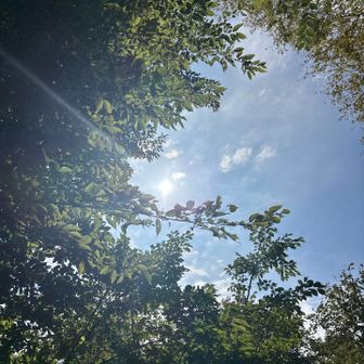 久々の太陽☀️青空
