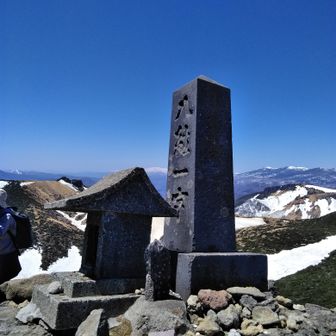 行動範囲は関東地方
