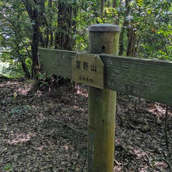 富野山に到着
大台ケ原でエスケープしなければ、もうあとは最短でも足立山まで行くしかないので、とにかく進みます
いつものように「安住紳一郎の日曜天国」を聞き、自分を奮い立たせながら行きます