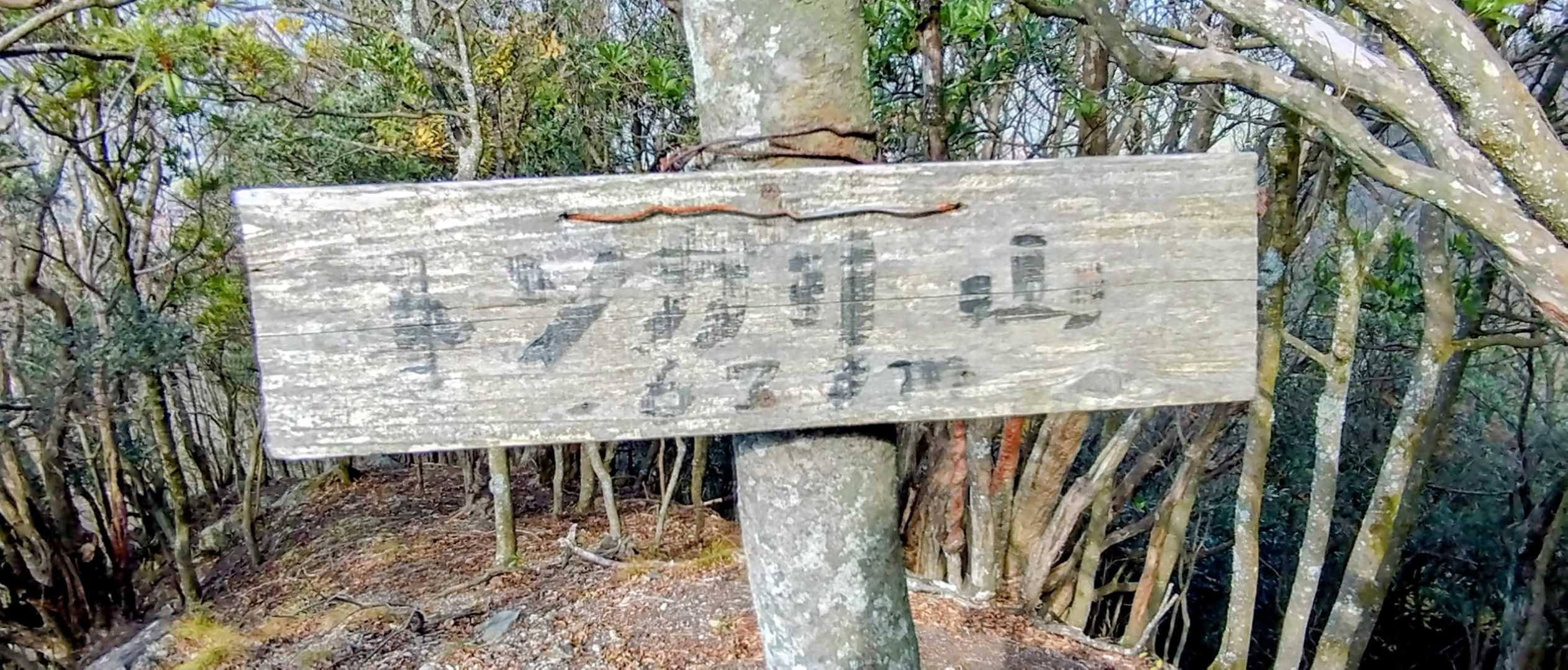 トンガリ山