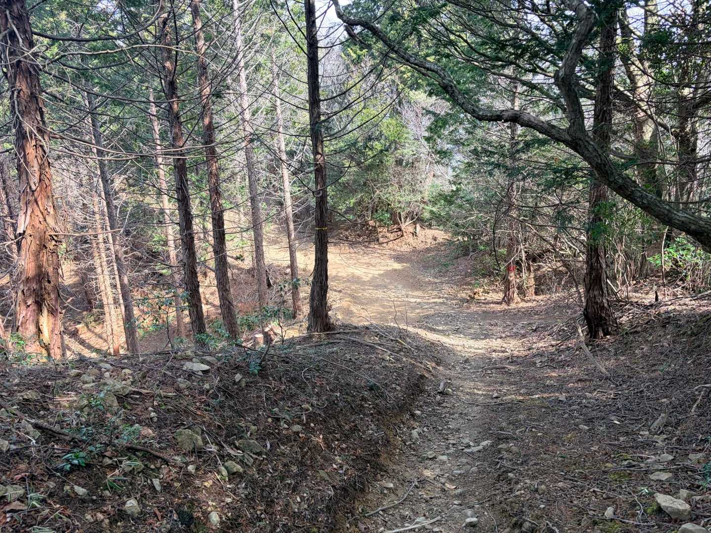 養老系山道の印象ってね