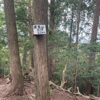 ここもあえて寄らないとピークゲットできない山
ゆずりはという名前が綺麗😍
縦走路はおまけ！といいつつしっかり寄り道するところはYAMAP気質から抜け切れてないわ😆
この近くにズルできる「ゆずりは3兄弟(親子か)」ピークが並んでいます。