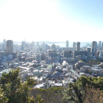 今日も良い天気☀️