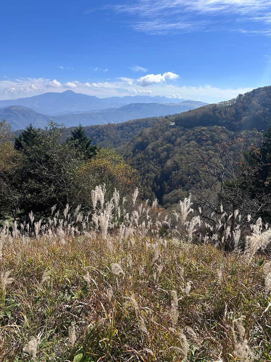 森を抜け、稜線に出ると一気に視界が開けました💥
昨日、茶臼山からも見えた蓼科山も