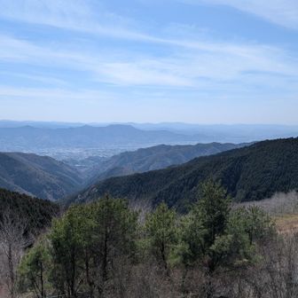 展望台からの絶景