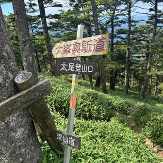 さてと、お次は大日岳へ