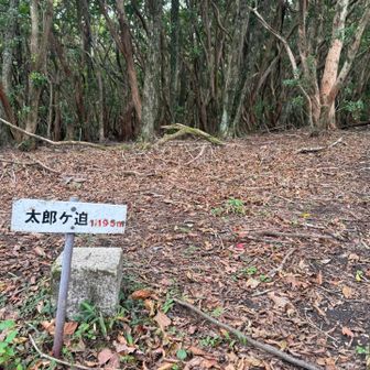 太郎ヶ迫マーク見落としそうでした😅