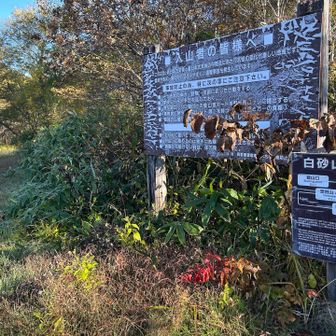 白砂山まで6.4km
少し長めかな