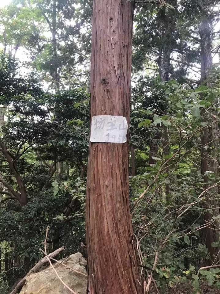 坊主山の写真