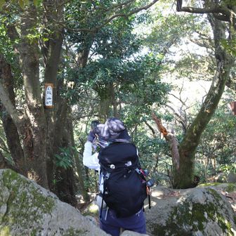 白坂山山頂
YAMAP1655座目