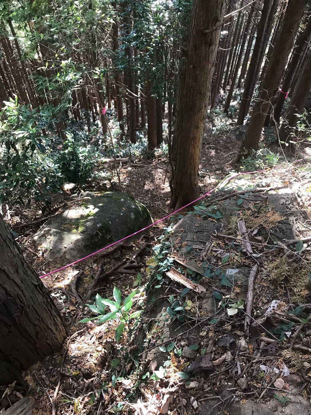 天狗岩の所のロープ