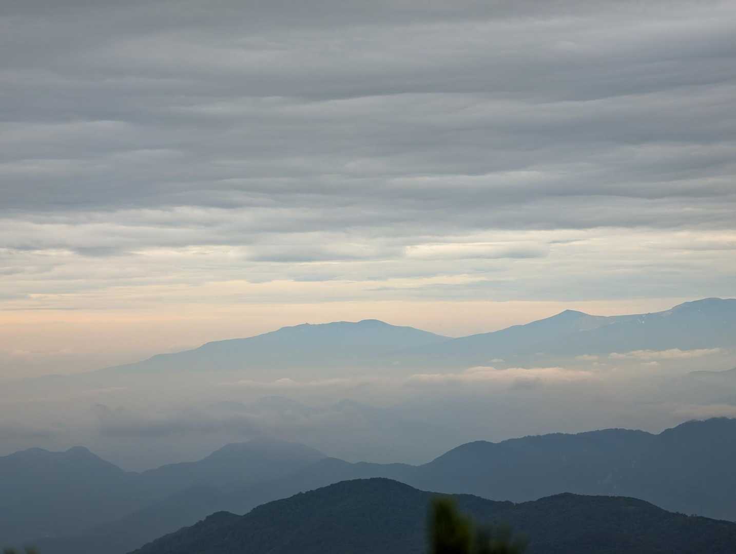 刈田峠-前山-杉ヶ峰 往復コースの写真