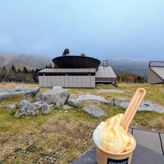 信玄ジェラート🍦