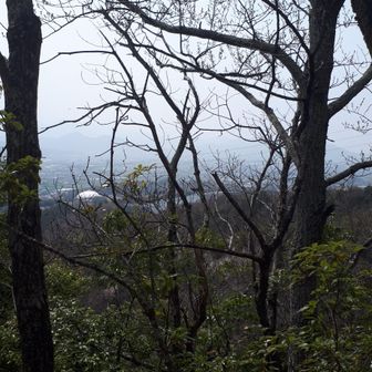 ツインドームが見えます。