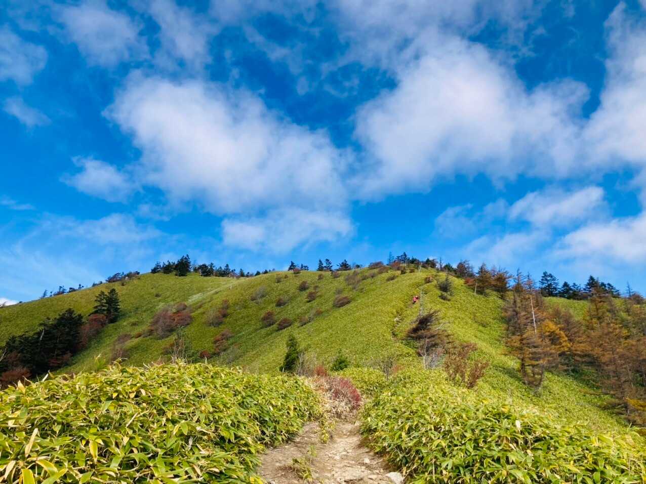 大川入山の写真