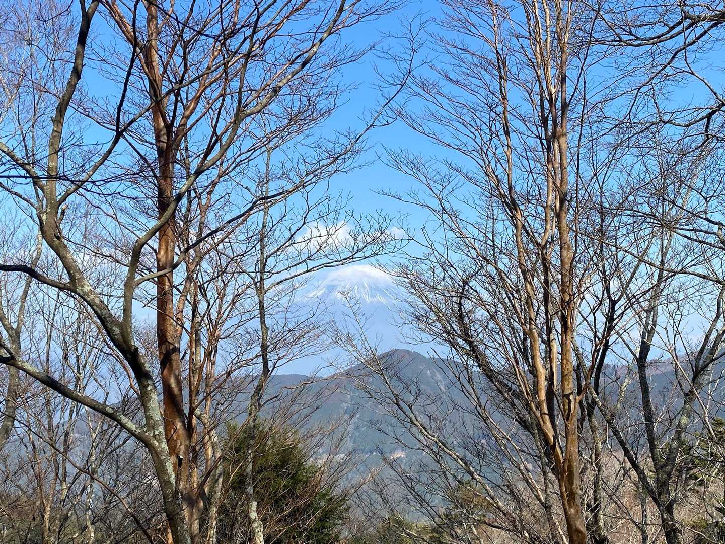 くだりは富士山を眺めながら歩けました♡
