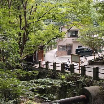 来た道を振り返る