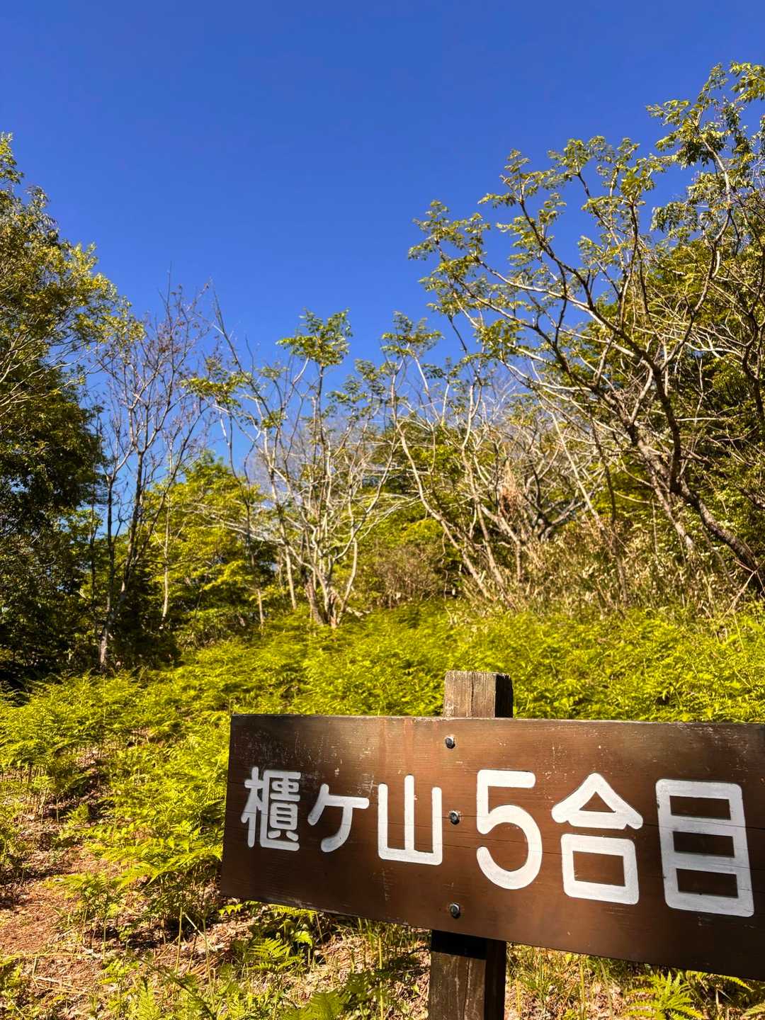 5合目です💪
