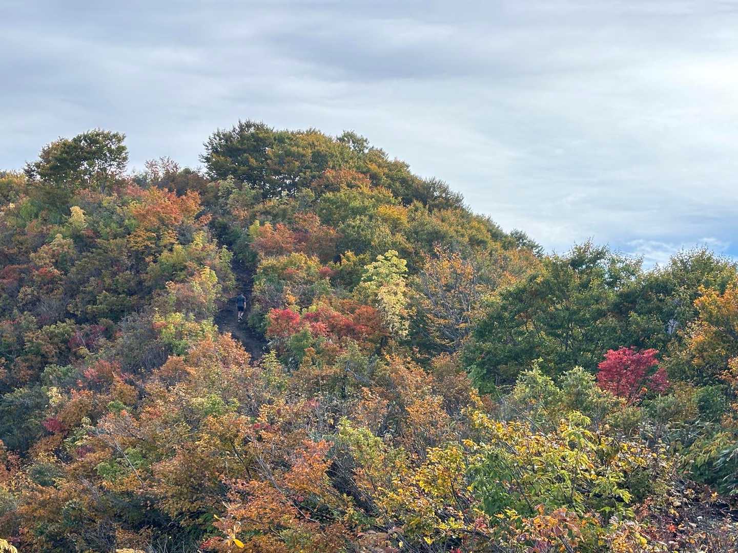 響きの森公園登山口-林泉庵登山口-大力山登山口-秋葉神社- 周回コースの写真