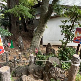 下山！

手作りの御当地富士山👍