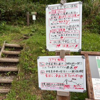 そしてそして無事下山しました🎊🎊🎊
