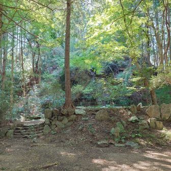 広い所出た、神社跡らしい